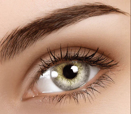 BATIS GRAY COLORED CONTACTS - ISODA COLORS