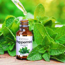 TOUCHDOWN 100% NATURAL ESSENTIAL OIL ROSEMARY 1oz