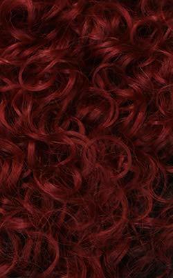 EMPIRE WIG 100% HUMAN HAIR CELEBRITY WIG RAMONA #T2/BG